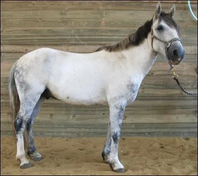 Mesurant moins d'1,48 m, je suis...