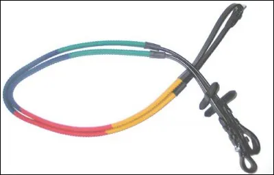 Quelle est la bonne orthographe de cette partie du filet ?