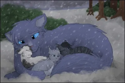 Ta proie pr&eacute;f&eacute;r&eacute;e dans LGDC est :