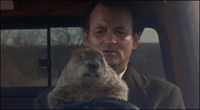 Dans l'hilarant "Un Jour sans fin" avec Bill Murray, c'est la marmotte qui s'appelle Phil...