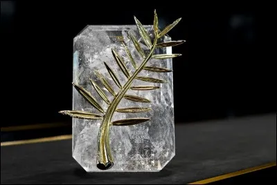 Ici on croise des stars, c'est pas du cinoche ou plutôt si.
Aurez-vous la palme de la bonne réponse ?