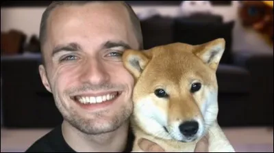 Son shiba s'appelle..