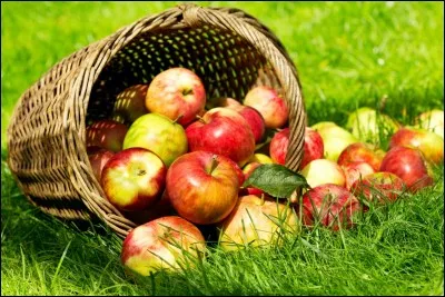 Quel pourcentage ces 40 millions de tonnes de pommes par an représentent-ils ?