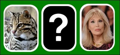 Quelle carte est en rapport avec les deux autres ?