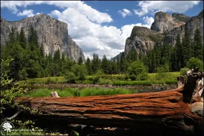 Yosemite est un parc national depuis 1890, le deuxième plus ancien du pays.'' C'est un rêve éveillé pour tous les amoureux de la nature et des paysages de rêve ! '' Faut surtout pas oublier de prendre un cliché des icônes de granit tel le ''Half Dome'' et le ''El Capitan''.
Dans quel pays est-on ?