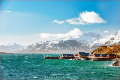 Selon Philippe Sainte-Laud : ''La pêche de la morue constitue encore l'activité principale des îles Lofoten. Chaque hiver, de nombreux pêcheurs viennent de tout le nord de (...) pour pêcher d'énormes quantités de poissons qui seront ensuite salés et séchés à l'air libre''.
Vous devez trouver le nom du pays qui a été enlevé dans l'explication de la photo :