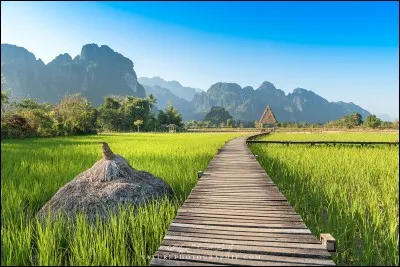 Photographe et famille sont arrivés à Van Vieng en tuk-tuk : imaginez votre bungalow au milieu des rizières avec un ponton pour y déambuler. Il ne lui restait que quelques jours avant de rentrer à Strasbourg et la pluie.
Christine, l'épouse de Philippe dit de Van Vieng, que c'est une ''petite ville qui reste à l'écart de la vie moderne''.
Dans quel pays leur voyage se terminait-il ?
