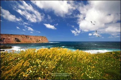 Seconde île de la Méditerranée, paradis des randonneurs. Cette photo s'intitule : ''Les vents de la mer''. Pour profiter de la place, on recommande d'y aller en juin ou septembre, on évite les grandes chaleurs et le trop plein de visiteurs. Où est-on ?