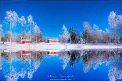 Reflet improbable est le nom de la photo. Voici ce que son auteur dit du pays : '' (...) je te pardonne ton froid et tes immenses forêts balayées par les vents. Les soirs d'hiver en (...), seuls les aboiements des huskies déchirent le silence blanc. ''
Quel est ce pays de climat rigoureux pendant l'hiver, fait surtout de taïga qui affiche la densité la plus faible de population de toute l'Europe ?