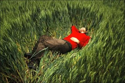 Qu'est en ralit 'Le Dormeur du Val' ?