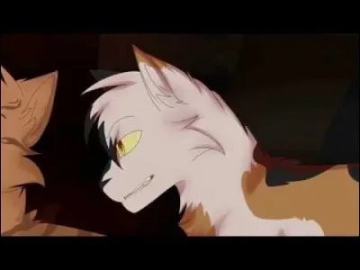 Quand Étoile Balafrée se rend aux Hautes Pierres, il est le premier à avoir rencontré :