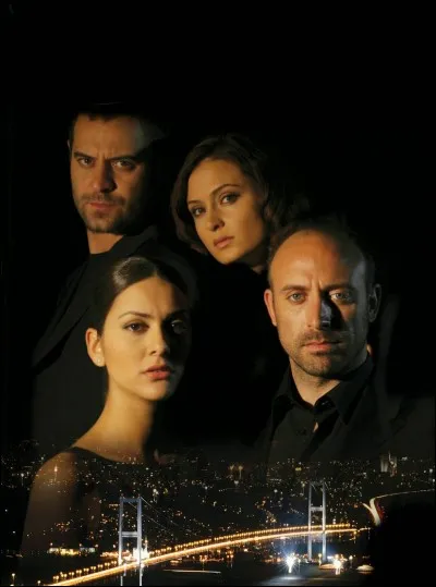 Quel est le type de musique présent dans cet album ?