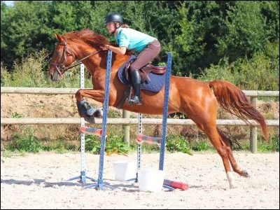 Je saute moins haut, normalement.