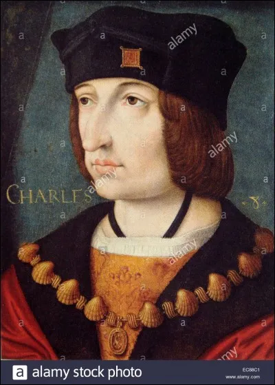 Charles VIII est de constitution chétive, il est un des rares enfants de Louis à passer 1 an. Prenant garde à sa santé plus qu'à son instruction, il ne fut mêlé aux affaires du royaume qu'aux derniers mois de Louis. Il devient roi à 13 ans. Sous la tutelle de qui est-il sagement placé en attendant sa majorité ?