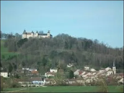 Sur cette image, vous avez en bas le village de Frébécourt et en haut le château de Bourlémont. Tout ceci se situe dans l'ancienne région Lorraine, dans le département ...