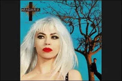 Qui était la chanteuse du groupe Niagara ?