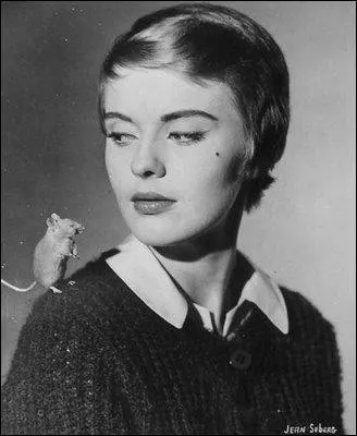 Comdie d'humour anglaise, avec Peter Sellers, dans laquelle une minuscule Principaut imaginaire dclare la guerre aux Etats-Unis, afin de bnficier des dommages de guerre et sauver le pays de la faillite