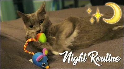 Comment appelle-t-elle ses abonnés ?