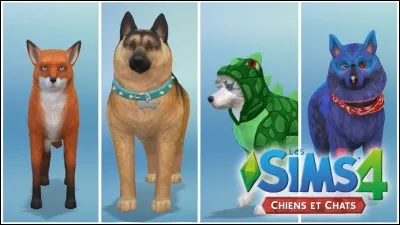 Quel est son animal préféré ?