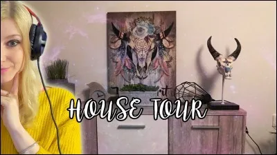 Combien de fois Devo a-t-elle déménagé en vidéo ?