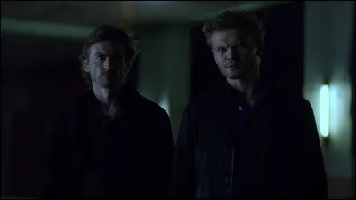 Qui sont ces frères russes ? (Ordre de l'image)