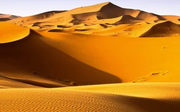 Quiz Monde entier