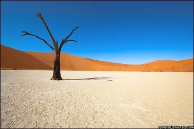 Quel type de désert est celui du Namib ?