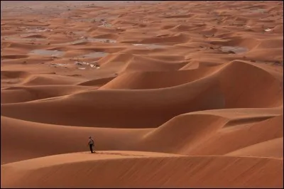 Dans combien de pays se situe le désert d'Arabie ?