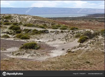 Quelle est la superficie du désert de Patagonie ?
