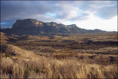 Dans combien de pays de situe le désert de Chihuahua ?