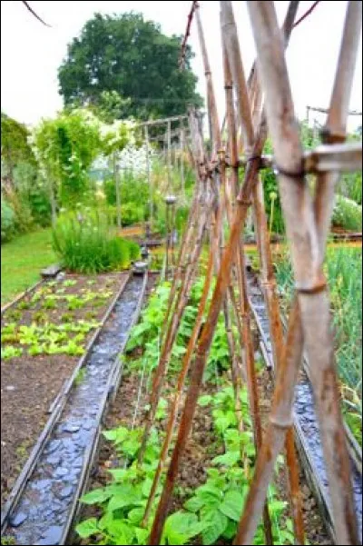 &laquo; La langue du Christ &raquo; ou &laquo; de J&eacute;sus &raquo; est ... [Compl&eacute;tez !]