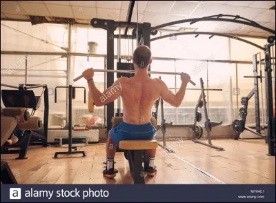 Dimanche, je décide d'aller faire un peu de sport, je vais à une salle de sport près de chez moi et je vois cette machine.
Quels muscles cette machine fait-elle travailler ?