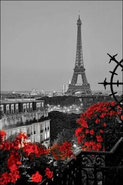 Qui chantait "&Agrave; 18 ans j'ai quitt&eacute; ma province..."