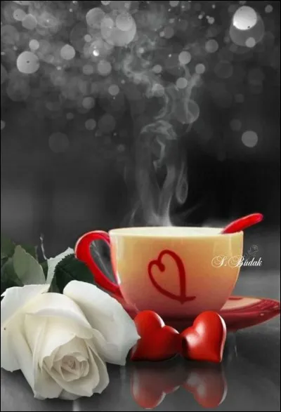 Compl&eacute;tez les paroles de Jacques Brel "Ne me quitte pas, je t'inventerai..."