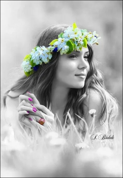 Qui interpr&eacute;tait les paroles "Je pourrais tout quitter, quitte &agrave; para&icirc;tre d&eacute;mod&eacute;, pour un flirt avec toi" ?