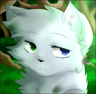 Et tu voudrais des yeux...