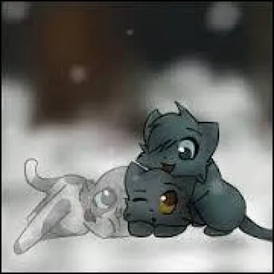 Ton chef LGDC préféré est :