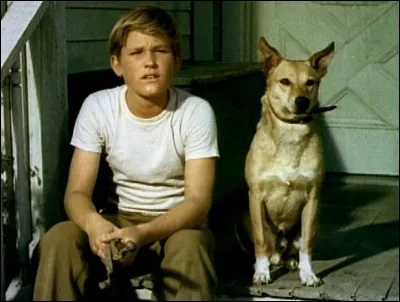 Dans quel film peut-on le voir ainsi ?