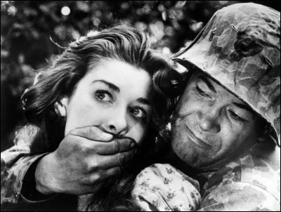 Année : 1953
Genre : Guerre 
Acteurs : Frank Silvera, Paul Mazursky,
Indices : Avion/Arbre/Traumatisme/Radeau
Quel est ce film?