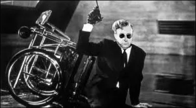 Année : 1964
Genre : Comédie 
Acteurs : Peter Sellers, George C. Scott
Indices : Russe/Bombes/Nazi/Yahoo. 
Quel est ce film?