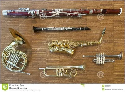 De quel instrument joue Kally ?