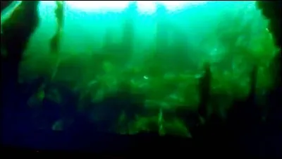 Quelle est la deuxième tâche du Tournoi des 3 sorciers ?