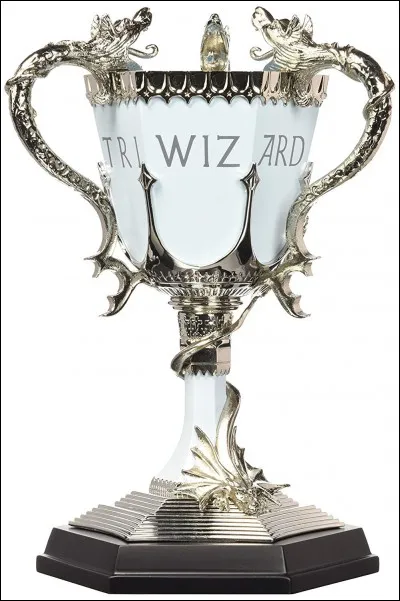 Que se passe-t-il quand Harry et Cédric touchent le trophée des 3 sorciers ?