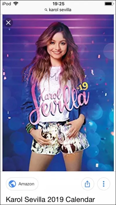 Combien y a-t-il de saisons ?