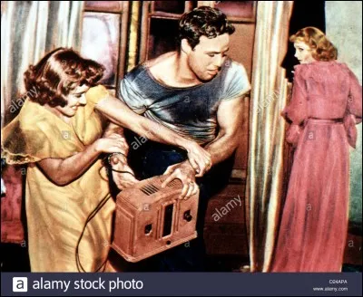 Qui a écrit "Un Tramway nommé Désir" ?