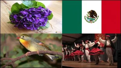 De 1914 à 1970, ma vie a été bien remplie. C'est vrai, j'ai fait le grand voyage à l'âge de 55 ans. Je suis :