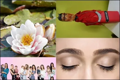 J'ai plié mon parapluie à l'âge de 57 ans le 5 mai 2018. Je suis :