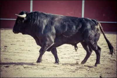 Quel pays a pour emblème le taureau ?