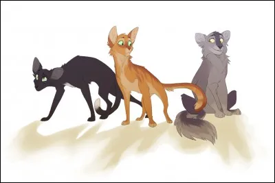 Un guerrier que tu ne connais pas te surprend sorti du camp. L'apprenti te souffle que c'est le chef du clan de l'Ombre. Que fais-tu sachant qu'il a franchi la frontière ?