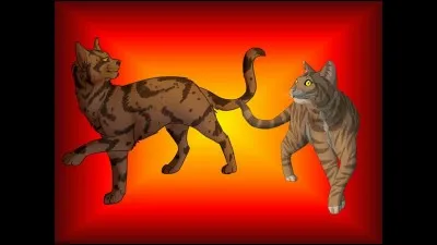 Le chef ennemi te saute dessus. L'apprenti s'enfuit. Comment réagis-tu ?